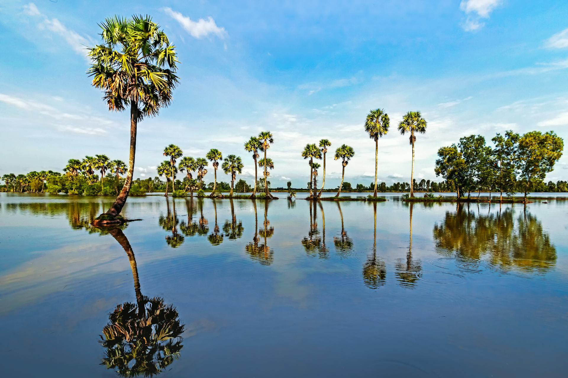 Capture the authentic charm of An Giang’s eco-tourism